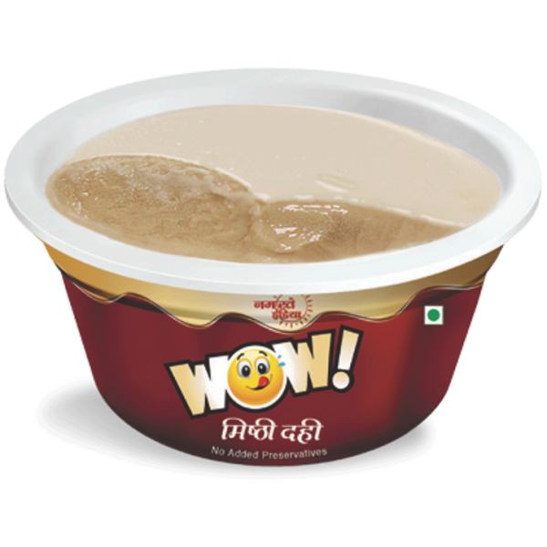 Namaste India Mishti Dahi